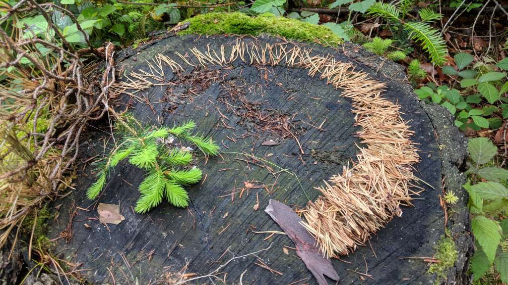 landart erlebnispaedagogik outdoortraining ausbildung bildungskarenz